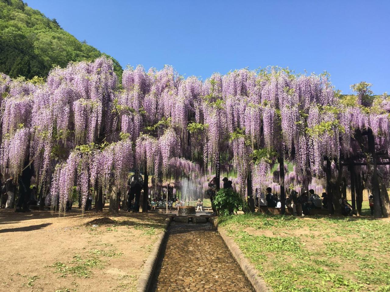 Gunkakutei Hotel Asago ภายนอก รูปภาพ